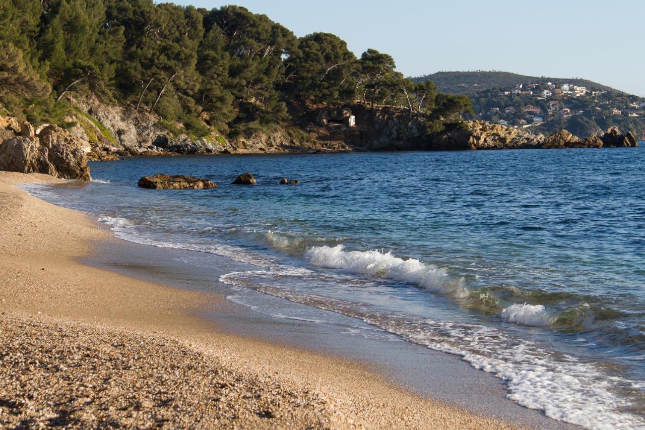 Mer Et Calme Le Pradet Exterior foto